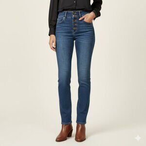 NICOLETTE Size 27 Dark Wash High Rise Multi-Button Zip Accent Skinny Jeans